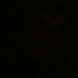 Meet your Posher, Emmie